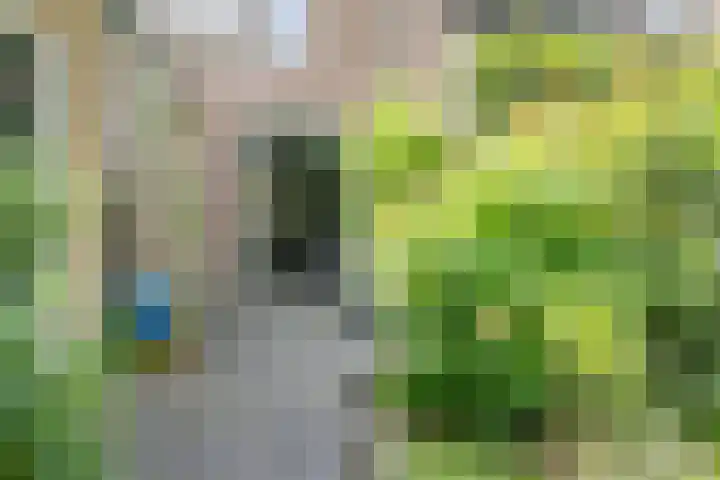 Velduil 22 Nieuwegein thumbnail 36