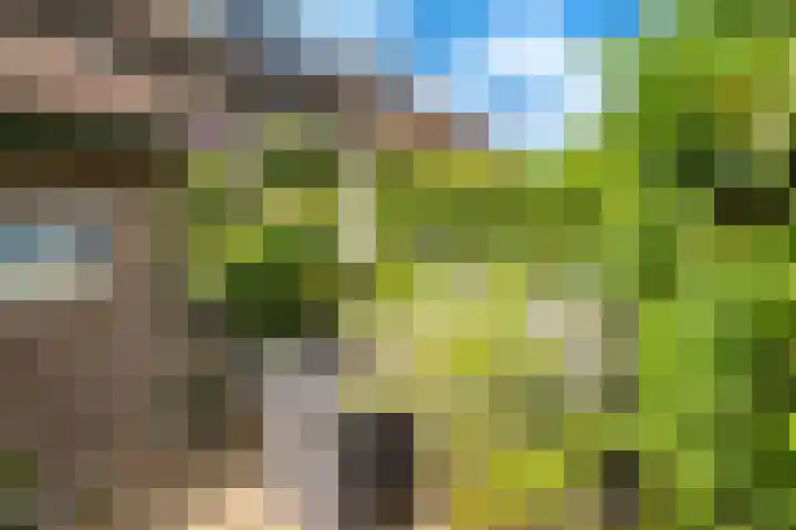 Velduil 22 Nieuwegein thumbnail 37