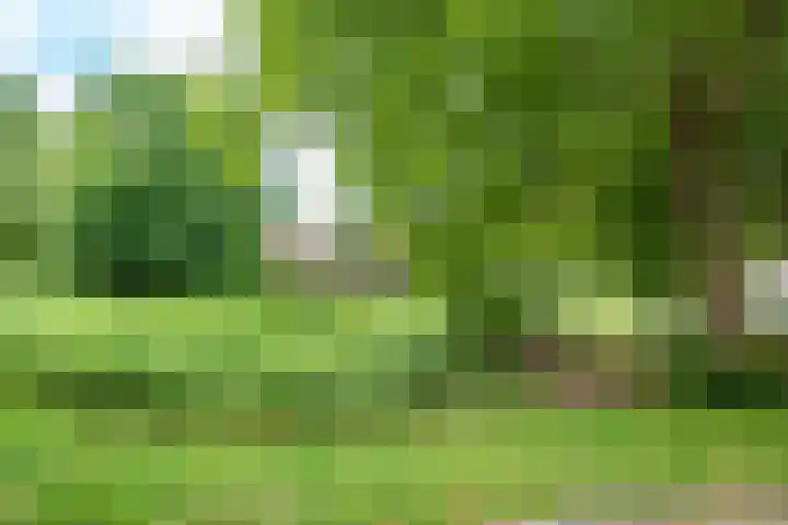 Velduil 22 Nieuwegein thumbnail 39
