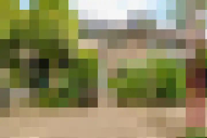 Velduil 22 Nieuwegein thumbnail 49