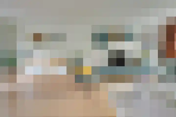 Velduil 22 Nieuwegein thumbnail 7