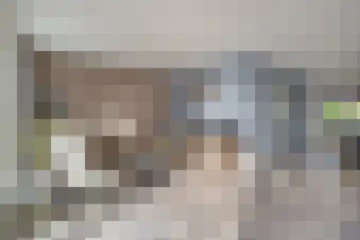 Velduil 22 Raalte thumbnail 18