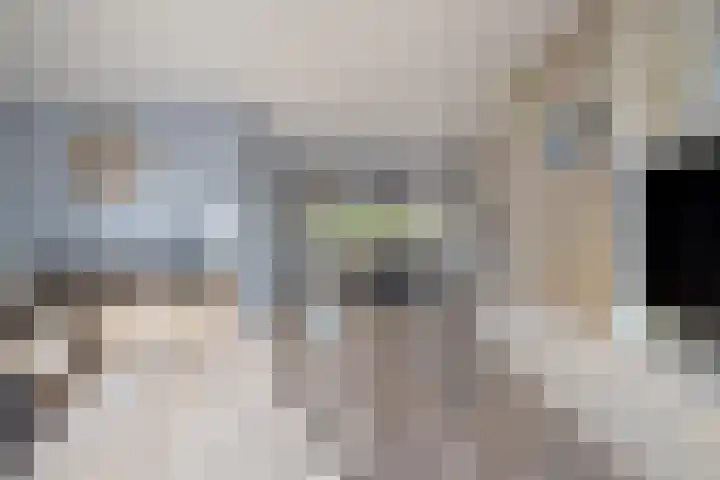 Velduil 22 Raalte thumbnail 19