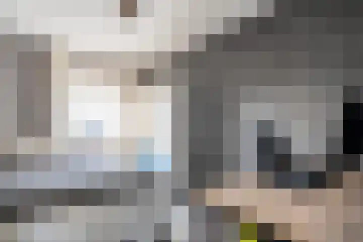 Velduil 22 Raalte thumbnail 23