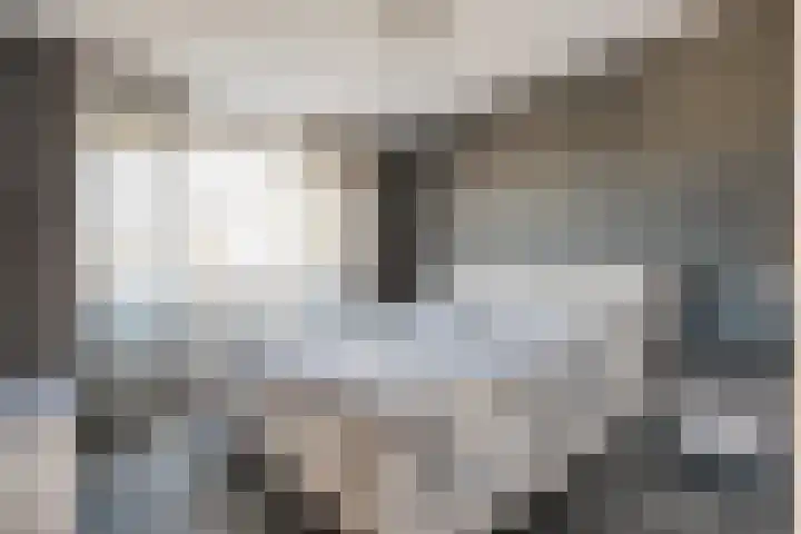 Velduil 22 Raalte thumbnail 28
