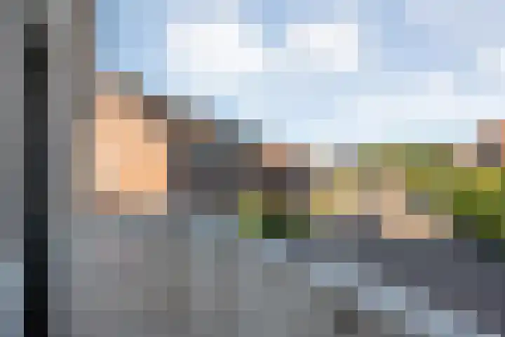 Velduil 22 Raalte thumbnail 29