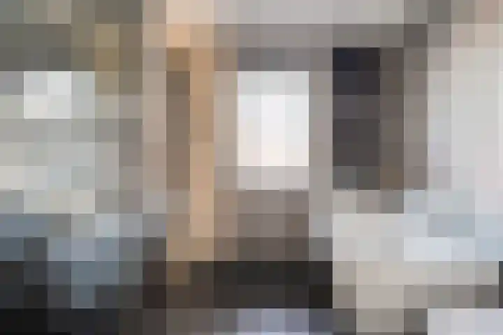 Velduil 22 Raalte thumbnail 30