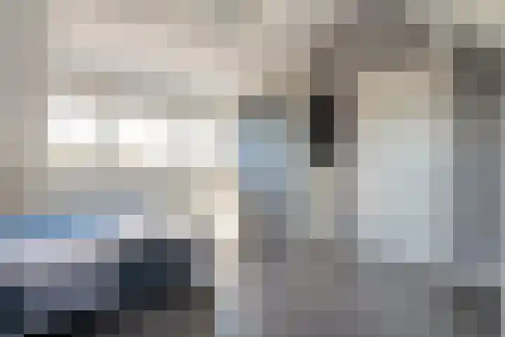 Velduil 22 Raalte thumbnail 37