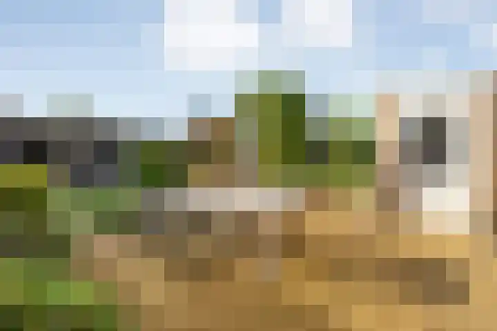 Velduil 22 Raalte thumbnail 39