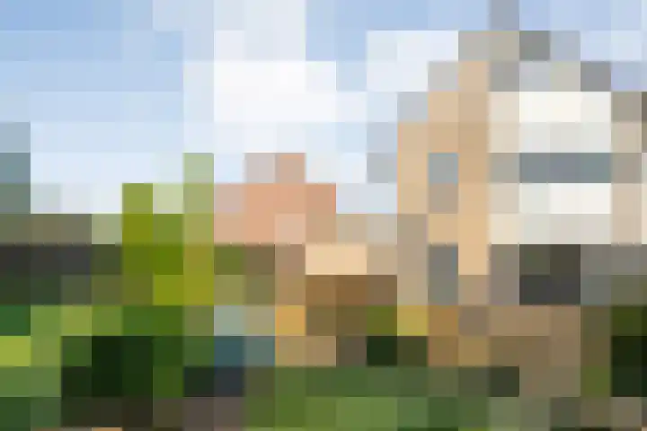 Velduil 22 Raalte thumbnail 45