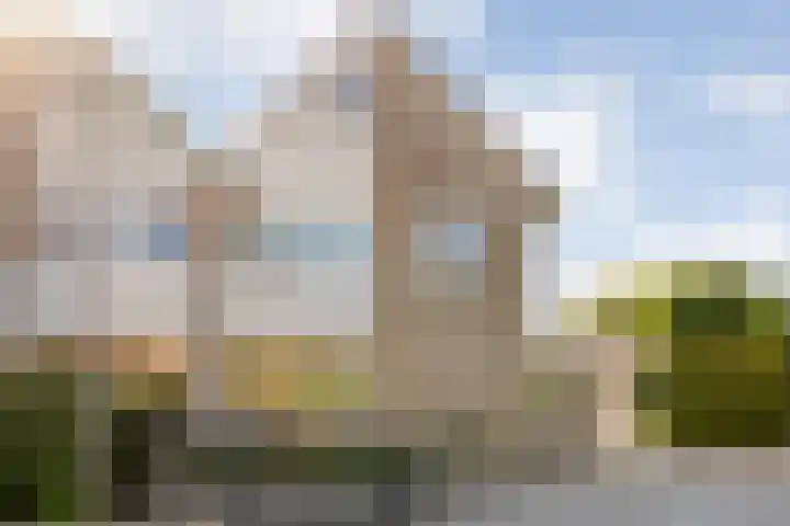 Velduil 22 Raalte thumbnail 5