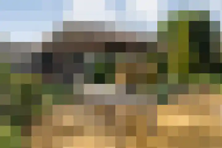 Velduil 22 Raalte thumbnail 50