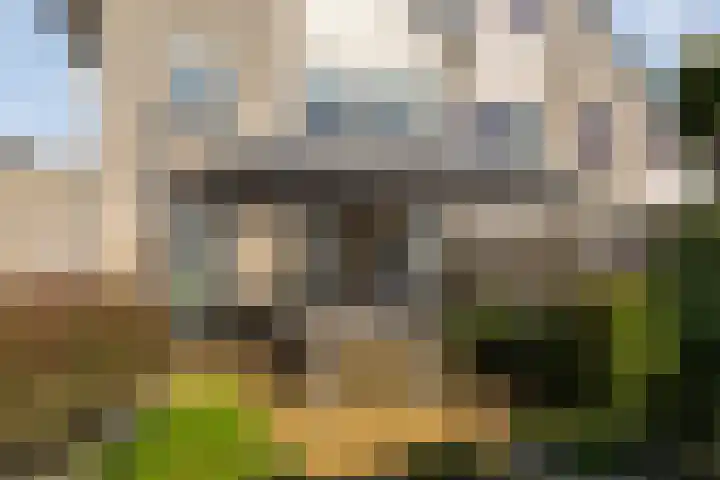 Velduil 22 Raalte thumbnail 51