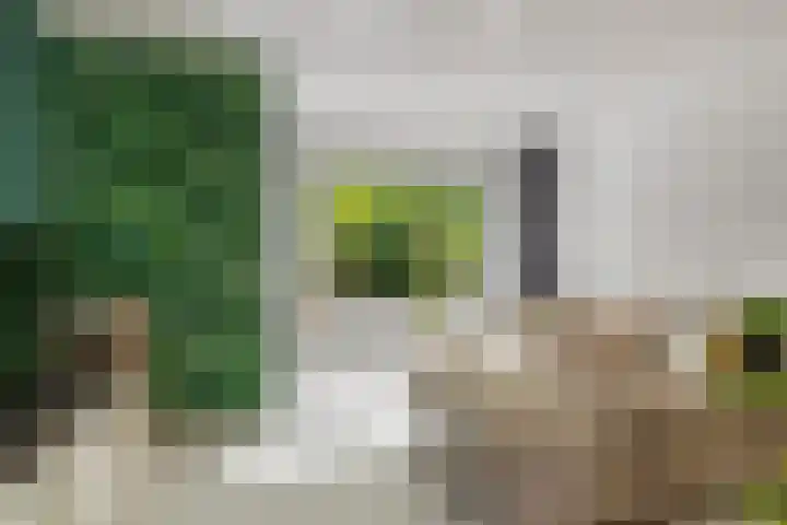 Velduil 32 Nieuwegein thumbnail 11