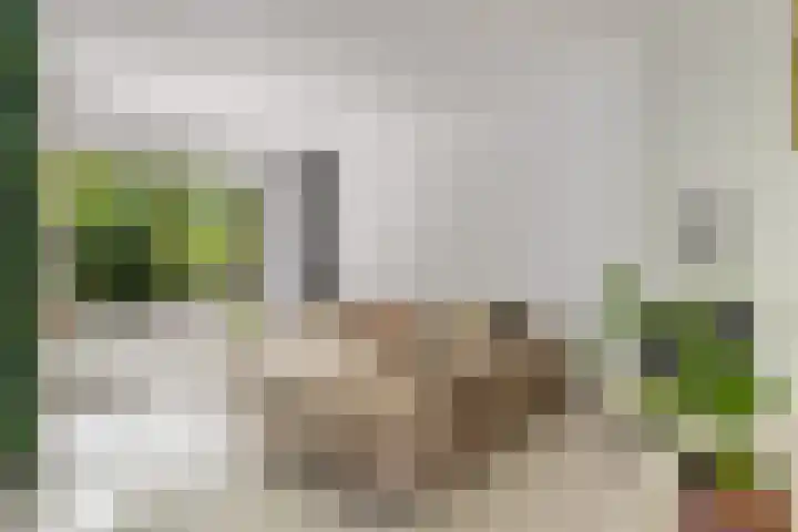 Velduil 32 Nieuwegein thumbnail 12