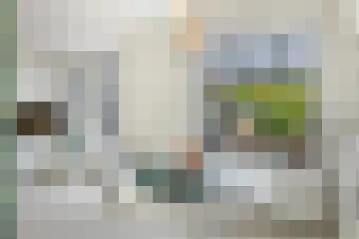 Velduil 32 Nieuwegein thumbnail 19
