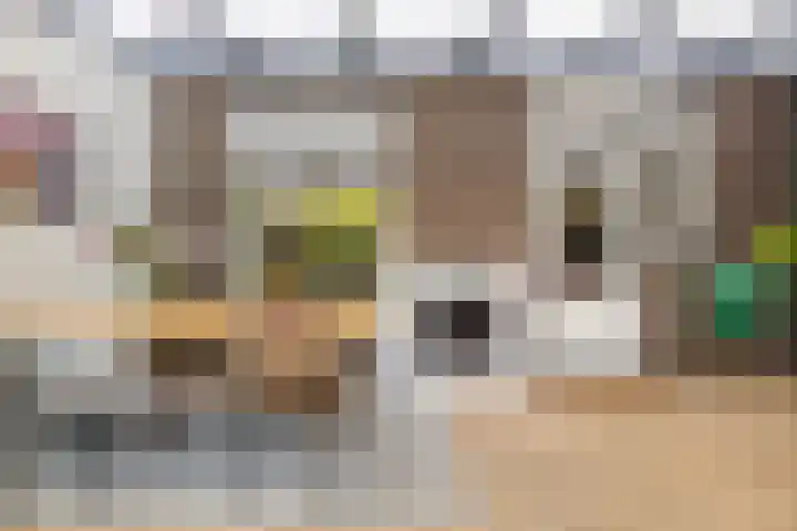 Velduil 32 Nieuwegein thumbnail 20