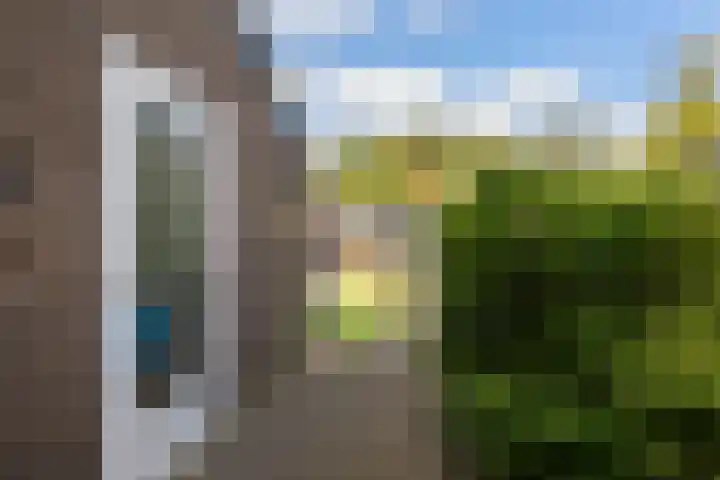 Velduil 32 Nieuwegein thumbnail 24