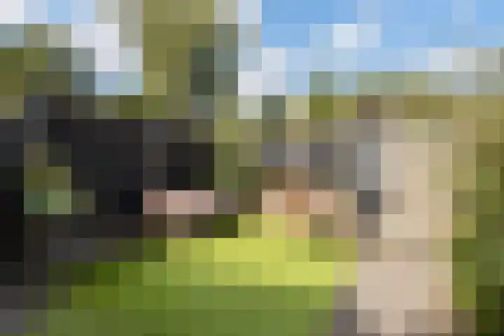 Velduil 32 Nieuwegein thumbnail 25