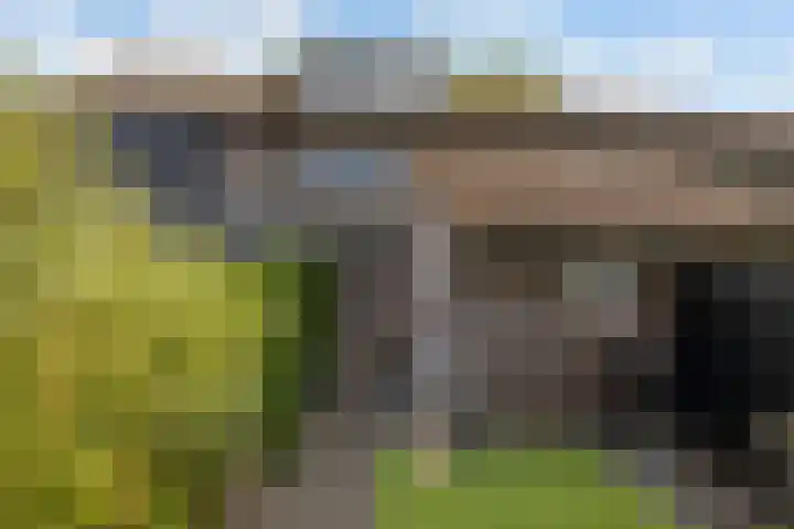 Velduil 32 Nieuwegein thumbnail 26