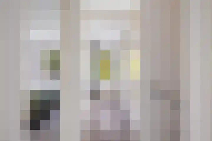 Velduil 32 Nieuwegein thumbnail 28