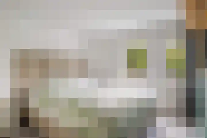 Velduil 32 Nieuwegein thumbnail 30