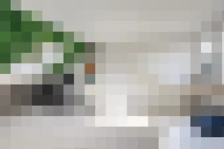 Velduil 32 Nieuwegein thumbnail 36