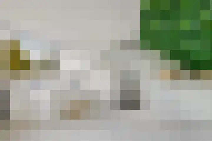 Velduil 32 Nieuwegein thumbnail 37