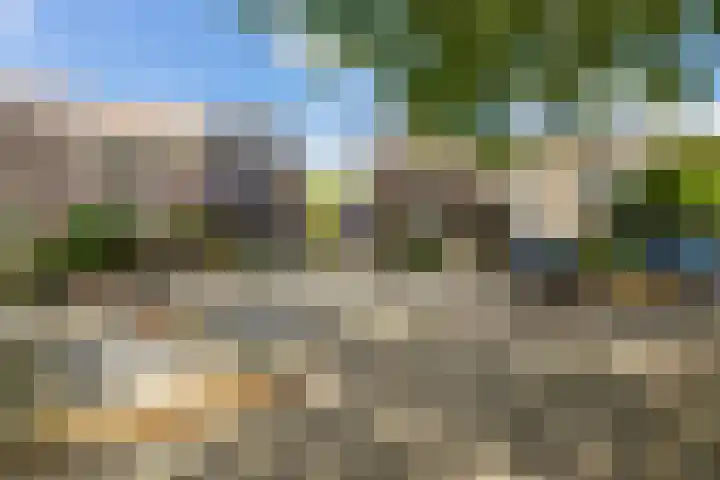 Velduil 32 Nieuwegein thumbnail 38