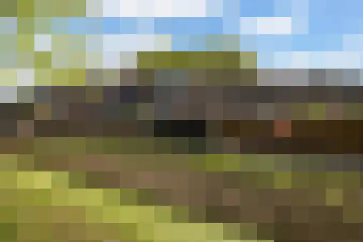 Velduil 32 Nieuwegein thumbnail 39