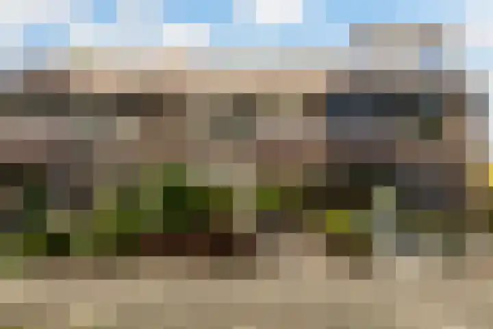 Velduil 32 Nieuwegein thumbnail 4