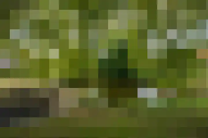 Velduil 32 Nieuwegein thumbnail 41