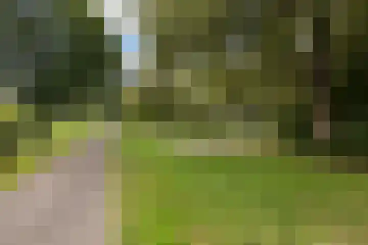 Velduil 32 Nieuwegein thumbnail 42