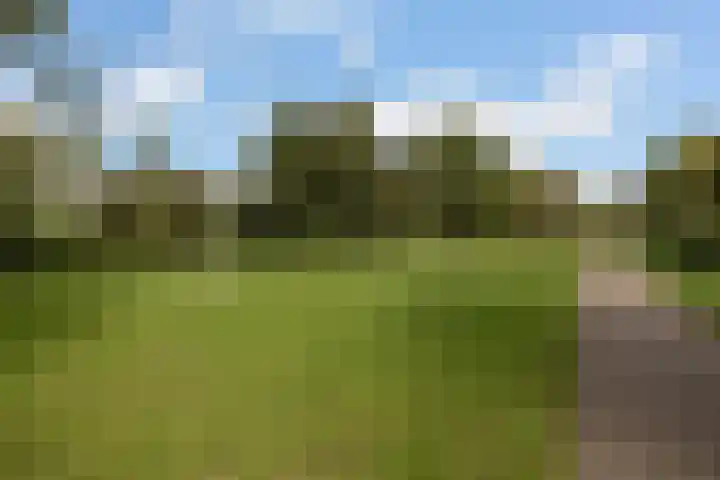 Velduil 32 Nieuwegein thumbnail 43
