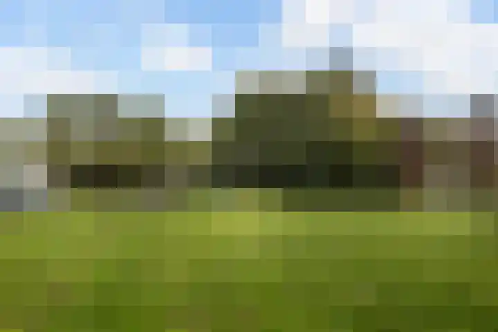 Velduil 32 Nieuwegein thumbnail 45
