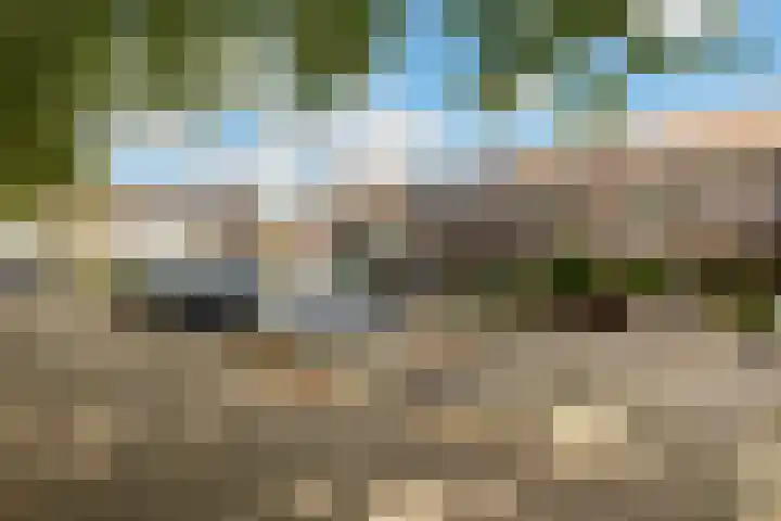 Velduil 32 Nieuwegein thumbnail 5