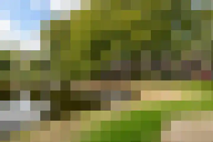 Velduil 32 Nieuwegein thumbnail 6