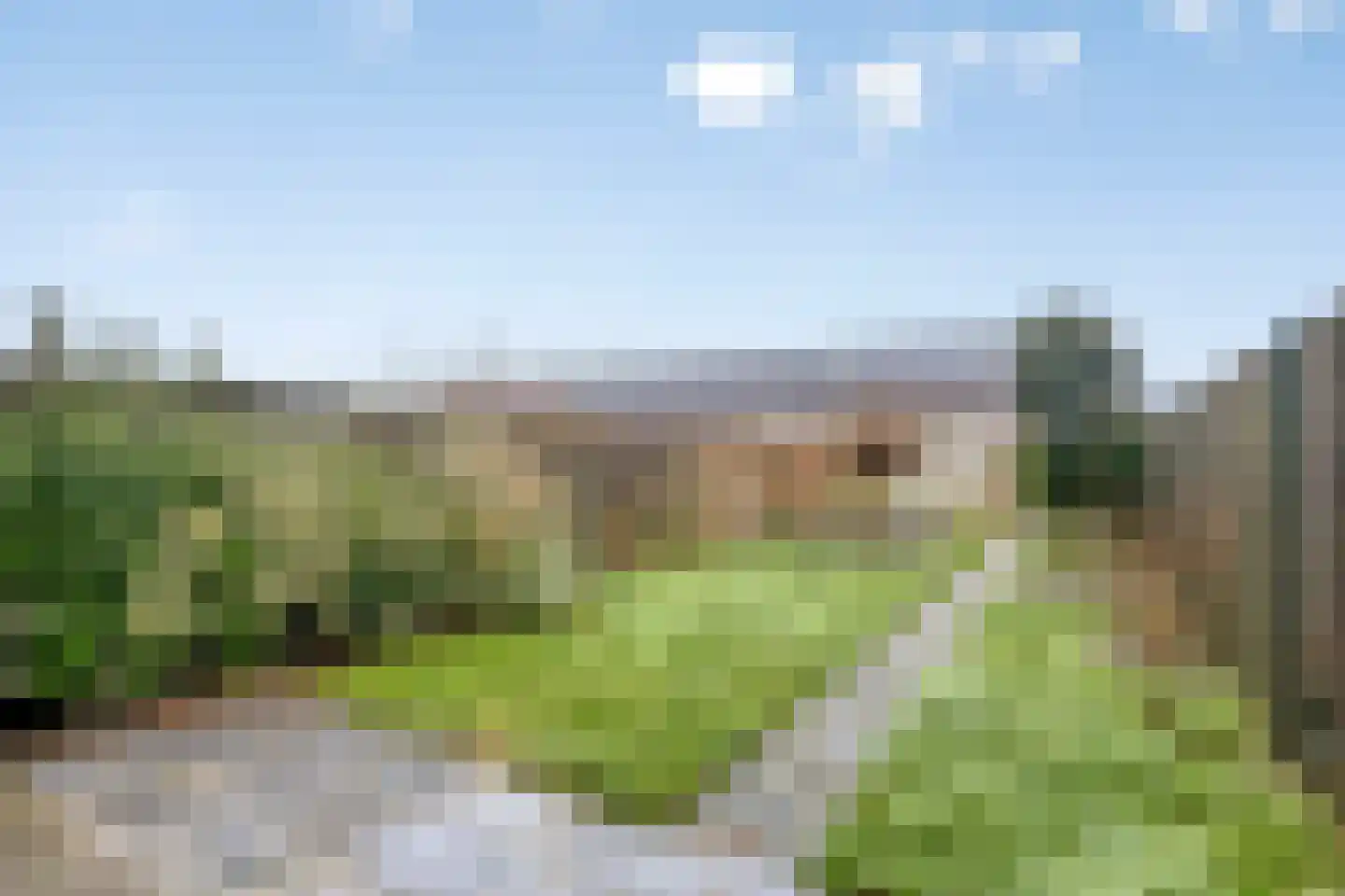 Velduil 39 Heerhugowaard thumbnail 30