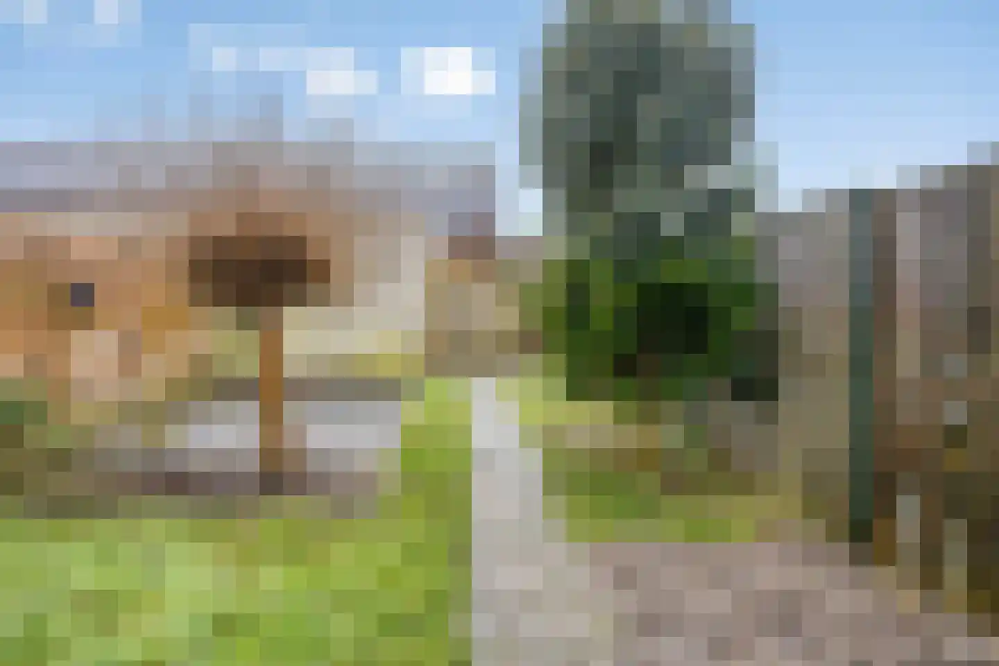 Velduil 39 Heerhugowaard thumbnail 31