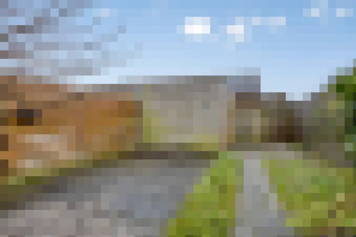 Velduil 39 Heerhugowaard thumbnail 33