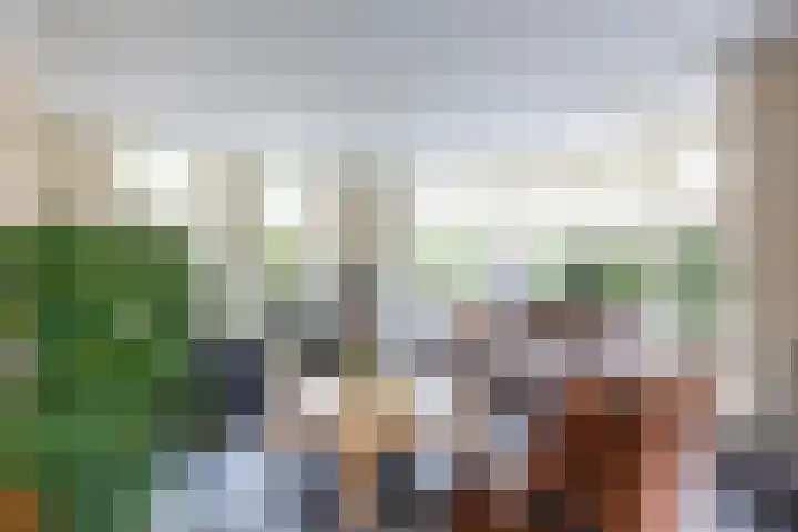 Velduil 5 Bergen L thumbnail 11