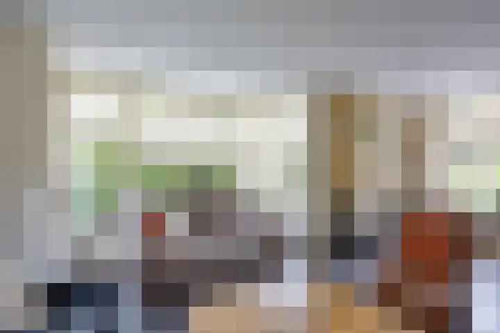 Velduil 5 Bergen L thumbnail 12