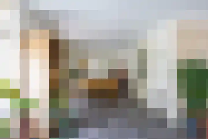 Velduil 5 Bergen L thumbnail 14