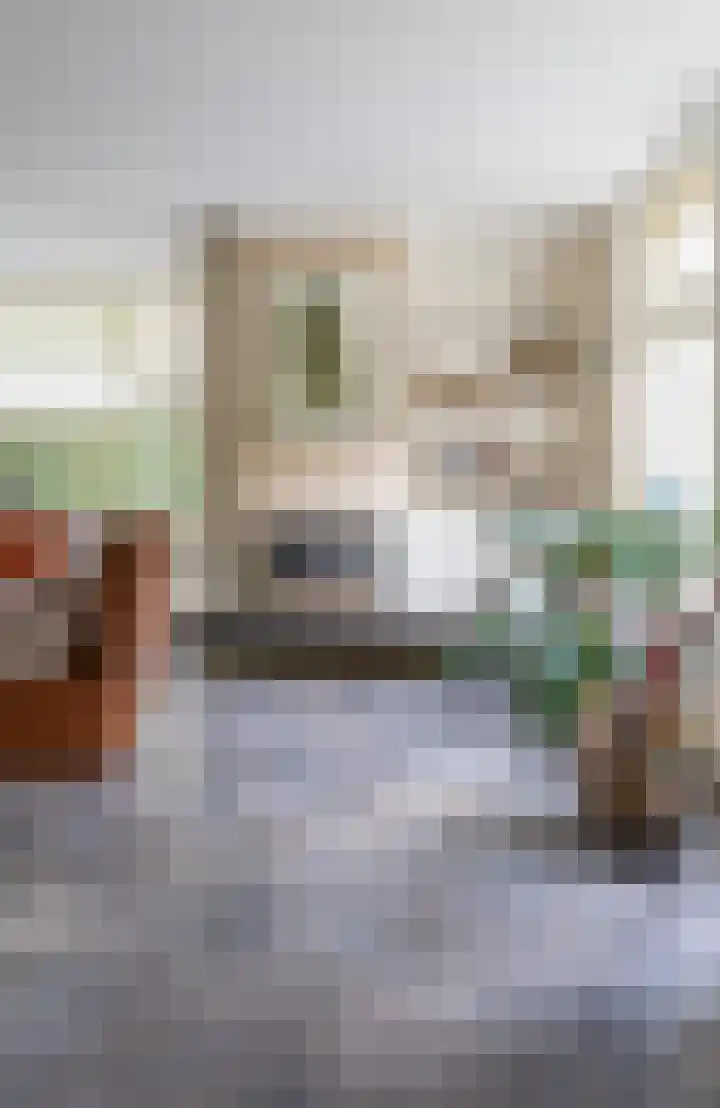 Velduil 5 Bergen L thumbnail 15
