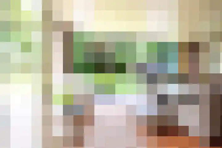 Velduil 5 Bergen L thumbnail 17