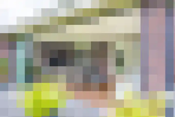 Velduil 5 Bergen L thumbnail 19