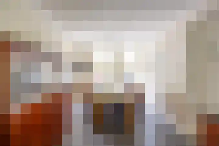 Velduil 5 Bergen L thumbnail 20