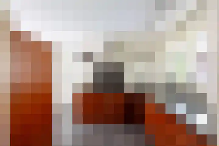 Velduil 5 Bergen L thumbnail 21