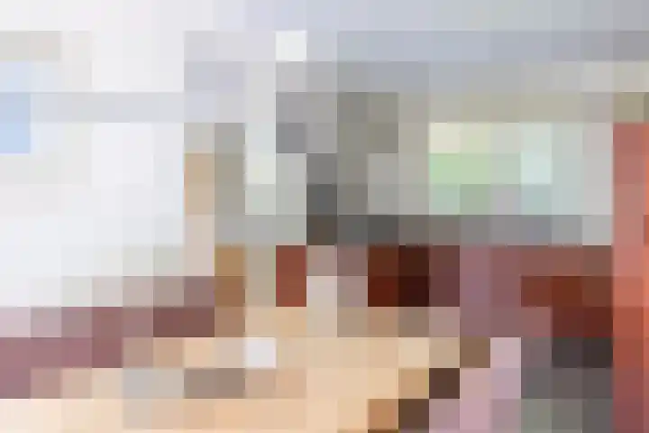 Velduil 5 Bergen L thumbnail 22