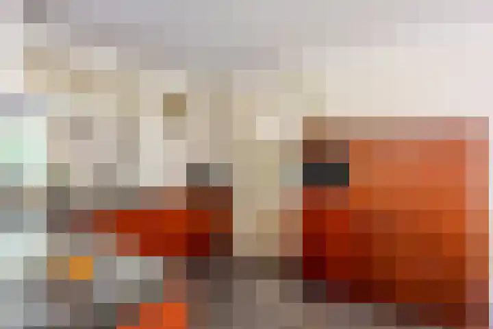 Velduil 5 Bergen L thumbnail 23